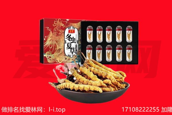 龙岩回收虫草.jpg